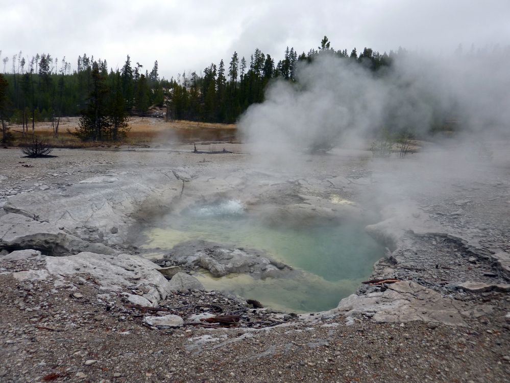 Yellowstone Norris Geyser (37).JPG